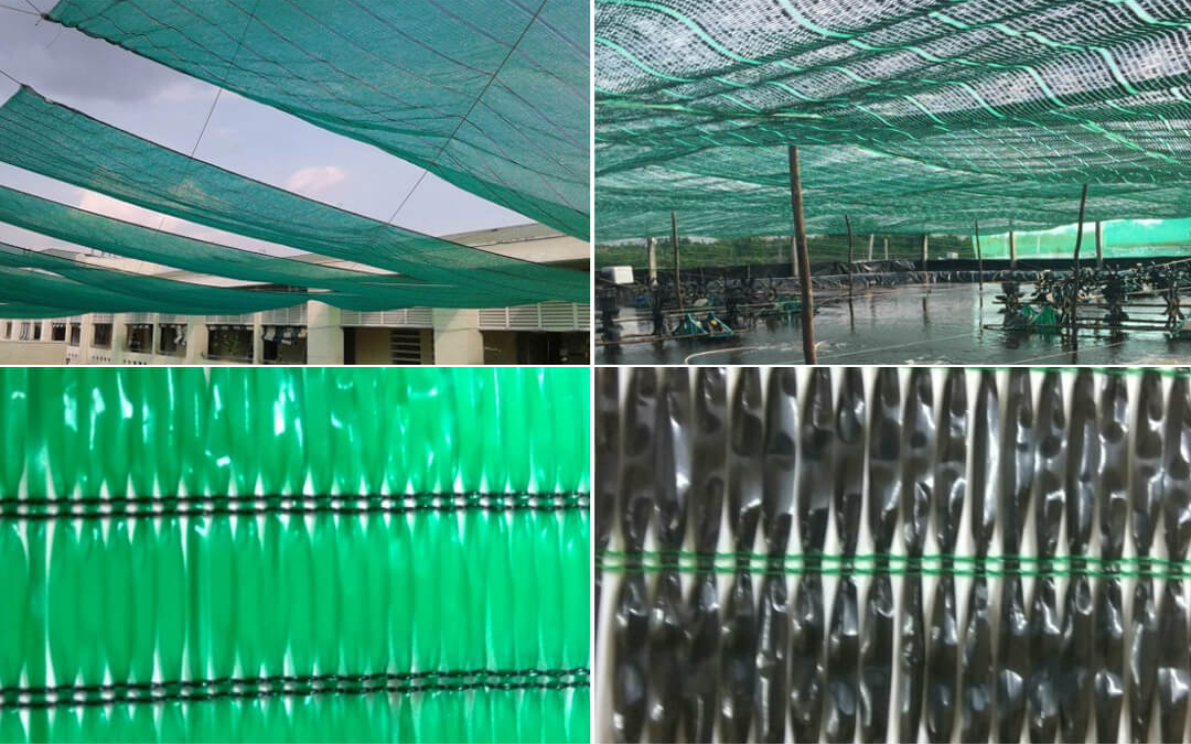Lưới che nắng, luoi che nang, giá lưới che nắng đài loan, gia luoi che nang dai loan, tác dụng của lưới che nắng, tac dung cua luoi che nang, vải lưới che nắng, vai luoi che nang, lưới che nắng cho lan, luoi che nang cho lan, lưới che nắng đài loan, luoi che nang dai loan, lưới che nắng ban công, luoi che nang ban cong, lưới che nắng loại nào tốt, luoi che nang loai nao tot, lưới che nắng trồng rau, luoi che nang trong rau, lưới che nắng thái, luoi che nang thai, lưới che mưa nắng, luoi che mua nang, lưới che nắng cho rau, luoi che nang cho rau, bạt lưới che nắng, bạt luoi che nang, lưới che nắng bãi xe, luoi che nang bai xe, lưới che nắng cho cây, luoi che nang cho cay, lưới che nắng cho mái tôn, luoi che nang cho mai ton, lưới che nắng cây cảnh, luoi che nang cay canh, lưới che nắng cho vườn lan, luoi che nang cho vuon lan, lưới che nắng dệt kim đài loan, luoi che nang dẹt kim dai loan, lưới che nắng đen, luoi che nang den lưới che nắng giá bao nhiêu, lưới che nắng giá rẻ, luoi che nang gia re, lưới che nắng giá sỉ, luoi che nang gia si, lưới che nắng hà nội, luoi che nang ha noi, tấm lưới che nắng, tam luoi che nang, lưới che nắng hoa lan, luoi che nang hoa lan, mua lưới che nắng mua luoi che nang, lưới lan, luoi lan