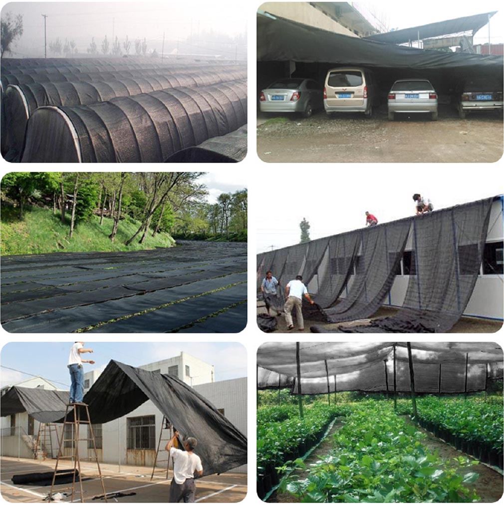 Lưới che nắng, luoi che nang, giá lưới che nắng đài loan, gia luoi che nang dai loan, tác dụng của lưới che nắng, tac dung cua luoi che nang, vải lưới che nắng, vai luoi che nang, lưới che nắng cho lan, luoi che nang cho lan, lưới che nắng đài loan, luoi che nang dai loan, lưới che nắng ban công, luoi che nang ban cong, lưới che nắng loại nào tốt, luoi che nang loai nao tot, lưới che nắng trồng rau, luoi che nang trong rau, lưới che nắng thái, luoi che nang thai, lưới che mưa nắng, luoi che mua nang, lưới che nắng cho rau, luoi che nang cho rau, bạt lưới che nắng, bạt luoi che nang, lưới che nắng bãi xe, luoi che nang bai xe, lưới che nắng cho cây, luoi che nang cho cay, lưới che nắng cho mái tôn, luoi che nang cho mai ton, lưới che nắng cây cảnh, luoi che nang cay canh, lưới che nắng cho vườn lan, luoi che nang cho vuon lan, lưới che nắng dệt kim đài loan, luoi che nang dẹt kim dai loan, lưới che nắng đen, luoi che nang den lưới che nắng giá bao nhiêu, lưới che nắng giá rẻ, luoi che nang gia re, lưới che nắng giá sỉ, luoi che nang gia si, lưới che nắng hà nội, luoi che nang ha noi, tấm lưới che nắng, tam luoi che nang, lưới che nắng hoa lan, luoi che nang hoa lan, mua lưới che nắng mua luoi che nang, lưới lan, luoi lan