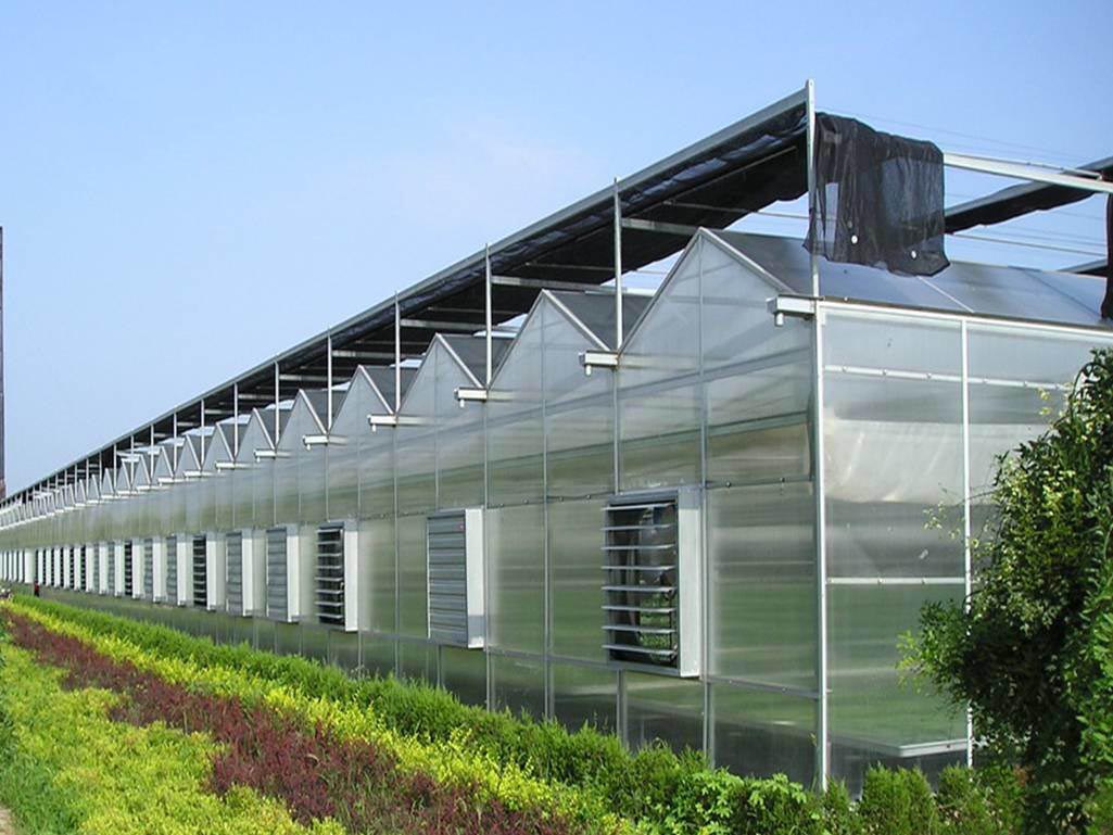 Lưới che nắng, luoi che nang, giá lưới che nắng đài loan, gia luoi che nang dai loan, tác dụng của lưới che nắng, tac dung cua luoi che nang, vải lưới che nắng, vai luoi che nang, lưới che nắng cho lan, luoi che nang cho lan, lưới che nắng đài loan, luoi che nang dai loan, lưới che nắng ban công, luoi che nang ban cong, lưới che nắng loại nào tốt, luoi che nang loai nao tot, lưới che nắng trồng rau, luoi che nang trong rau, lưới che nắng thái, luoi che nang thai, lưới che mưa nắng, luoi che mua nang, lưới che nắng cho rau, luoi che nang cho rau, bạt lưới che nắng, bạt luoi che nang, lưới che nắng bãi xe, luoi che nang bai xe, lưới che nắng cho cây, luoi che nang cho cay, lưới che nắng cho mái tôn, luoi che nang cho mai ton, lưới che nắng cây cảnh, luoi che nang cay canh, lưới che nắng cho vườn lan, luoi che nang cho vuon lan, lưới che nắng dệt kim đài loan, luoi che nang dẹt kim dai loan, lưới che nắng đen, luoi che nang den lưới che nắng giá bao nhiêu, lưới che nắng giá rẻ, luoi che nang gia re, lưới che nắng giá sỉ, luoi che nang gia si, lưới che nắng hà nội, luoi che nang ha noi, tấm lưới che nắng, tam luoi che nang, lưới che nắng hoa lan, luoi che nang hoa lan, mua lưới che nắng mua luoi che nang, lưới lan, luoi lan