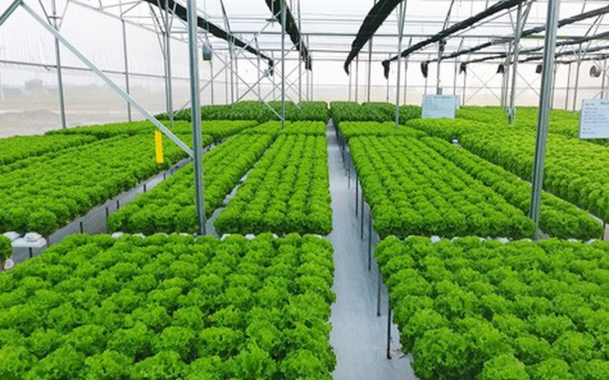 Lưới che nắng, luoi che nang, giá lưới che nắng đài loan, gia luoi che nang dai loan, tác dụng của lưới che nắng, tac dung cua luoi che nang, vải lưới che nắng, vai luoi che nang, lưới che nắng cho lan, luoi che nang cho lan, lưới che nắng đài loan, luoi che nang dai loan, lưới che nắng ban công, luoi che nang ban cong, lưới che nắng loại nào tốt, luoi che nang loai nao tot, lưới che nắng trồng rau, luoi che nang trong rau, lưới che nắng thái, luoi che nang thai, lưới che mưa nắng, luoi che mua nang, lưới che nắng cho rau, luoi che nang cho rau, bạt lưới che nắng, bạt luoi che nang, lưới che nắng bãi xe, luoi che nang bai xe, lưới che nắng cho cây, luoi che nang cho cay, lưới che nắng cho mái tôn, luoi che nang cho mai ton, lưới che nắng cây cảnh, luoi che nang cay canh, lưới che nắng cho vườn lan, luoi che nang cho vuon lan, lưới che nắng dệt kim đài loan, luoi che nang dẹt kim dai loan, lưới che nắng đen, luoi che nang den lưới che nắng giá bao nhiêu, lưới che nắng giá rẻ, luoi che nang gia re, lưới che nắng giá sỉ, luoi che nang gia si, lưới che nắng hà nội, luoi che nang ha noi, tấm lưới che nắng, tam luoi che nang, lưới che nắng hoa lan, luoi che nang hoa lan, mua lưới che nắng mua luoi che nang, lưới lan, luoi lan