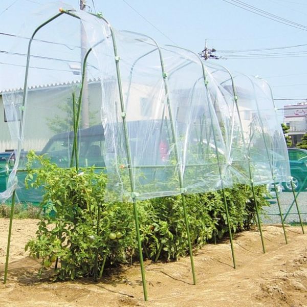Lưới chắn côn trùng trồng rau sạch là sản phẩm quan trọng của nhà nông